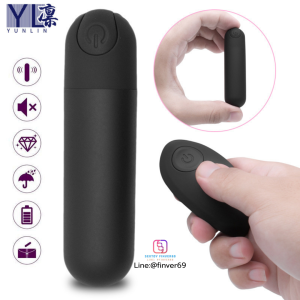 Mini Vibrator